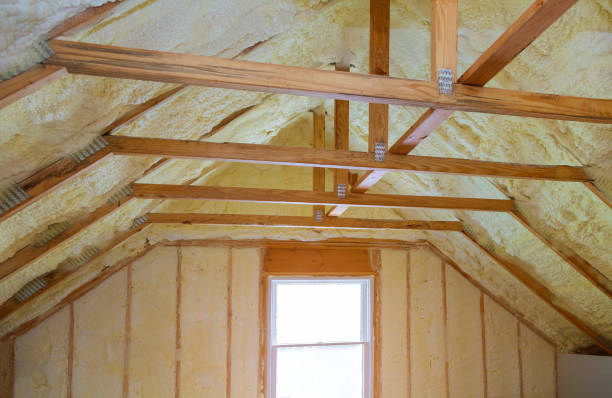 Insulation Contractors for Homes in Delta Junction, AK