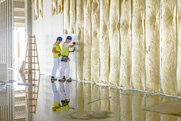 Best Spray Foam Insulation  in Delta Junction, AK